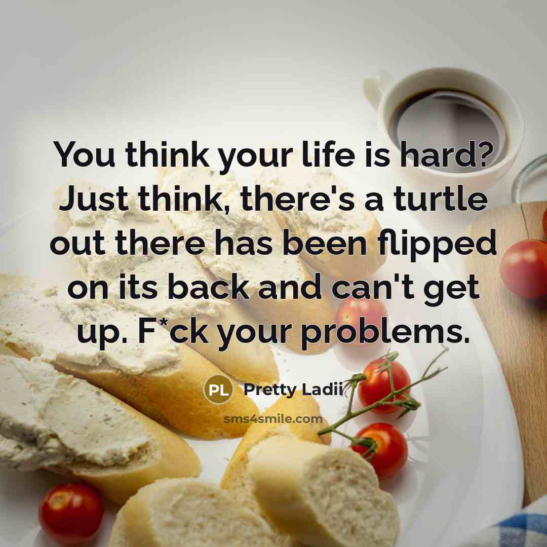 “You think your life is hard? Just think, there's a turtle out there has been flipped on its back and can't get up. F*ck your problems.” quote by Pretty Ladii