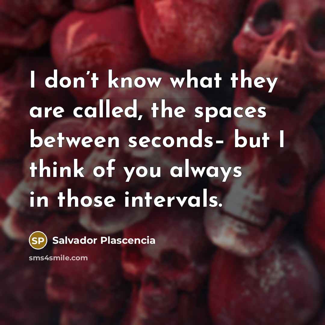 “I don’t know what they are called, the spaces between…” quote by Salvador Plascencia