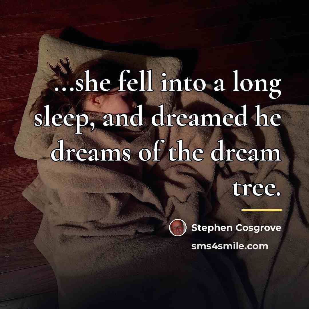 “...she fell into a long sleep, and dreamed he dreams…” quote by Stephen Cosgrove