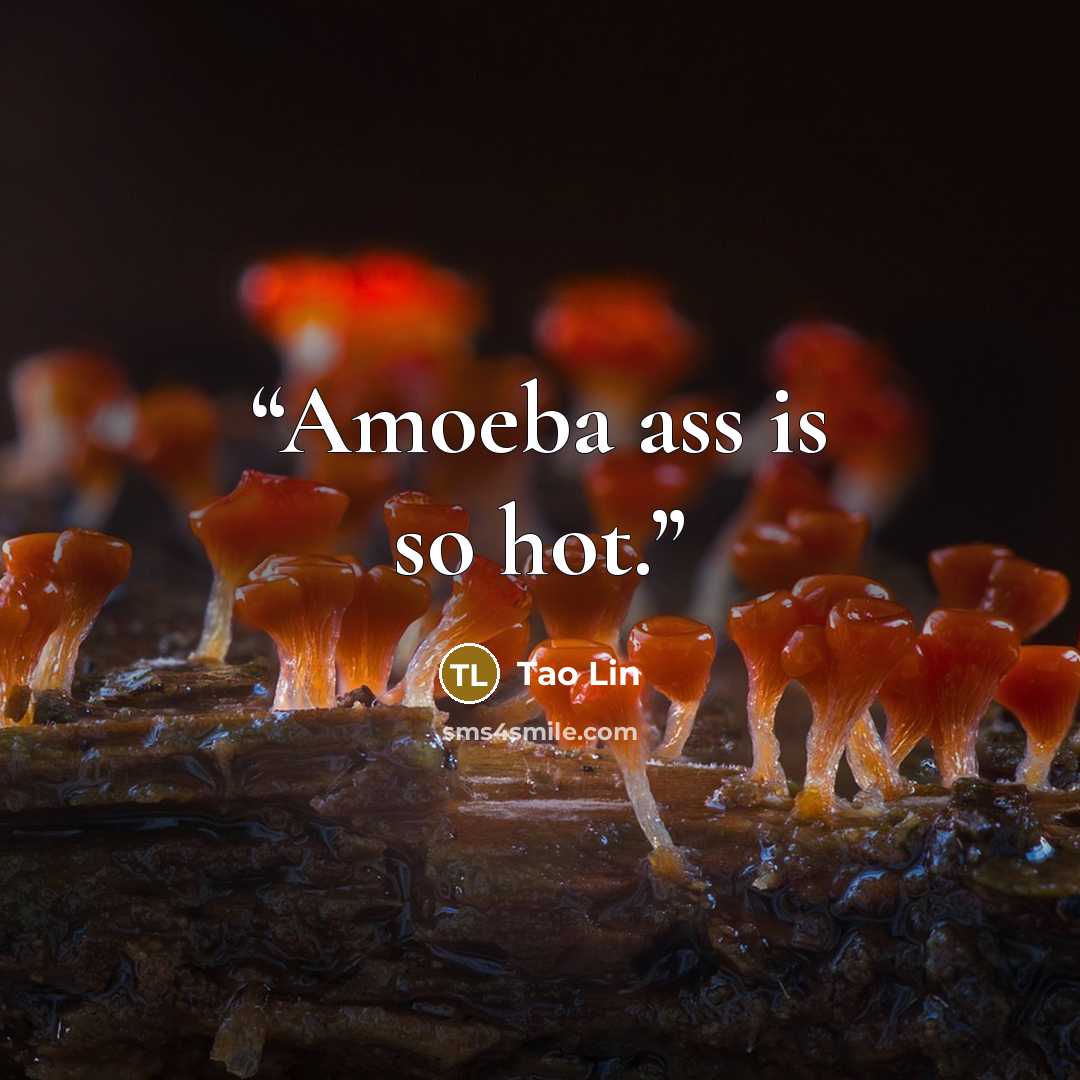 “Amoeba ass is so hot.” quote by Tao Lin