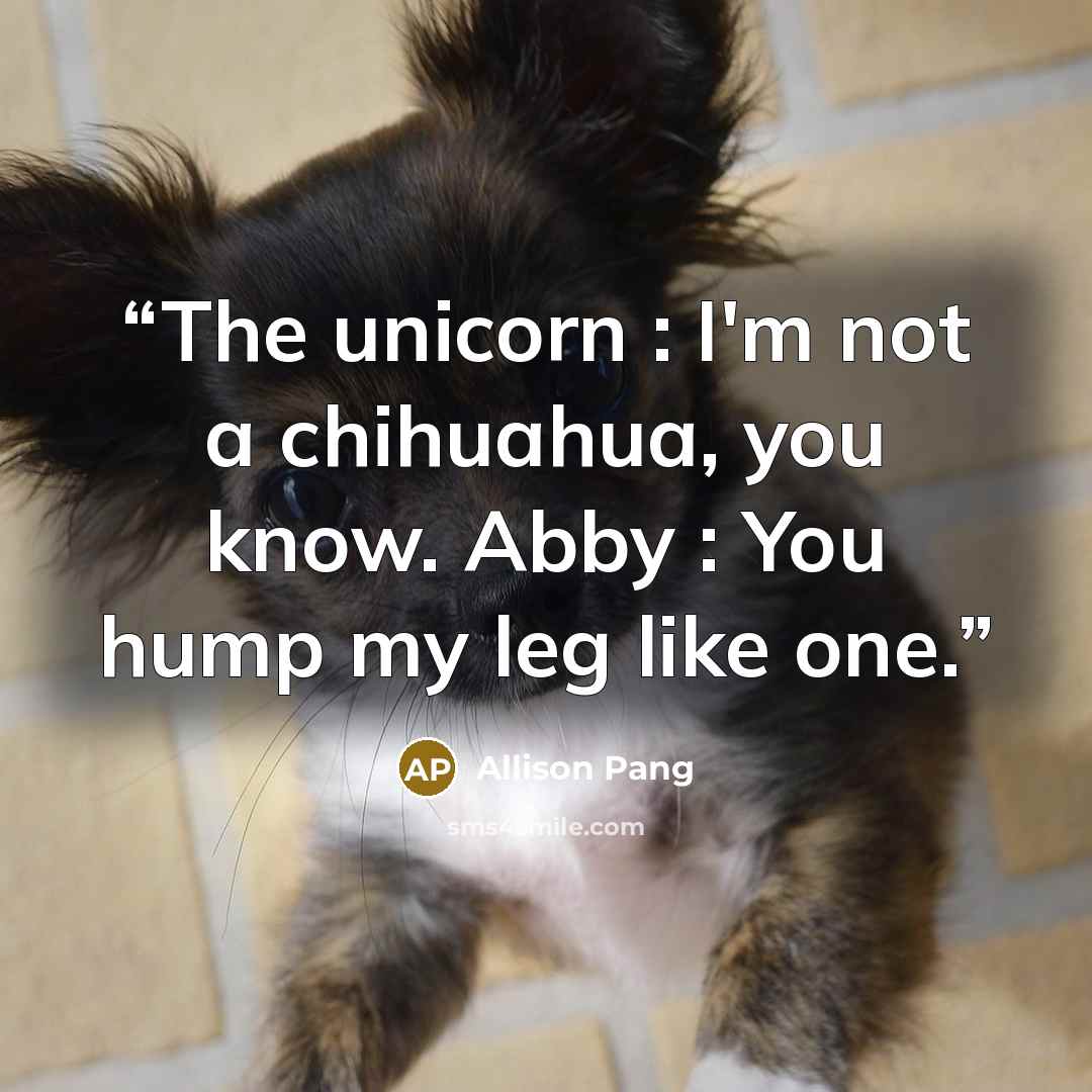 “The unicorn : I'm not a chihuahua, you know. Abby : You hump my leg like one.” quote by Allison Pang