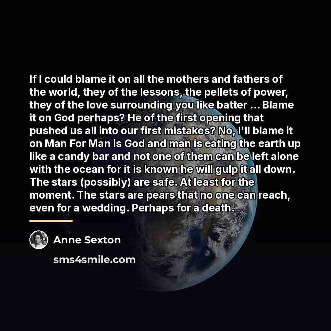 “If I could blame it on all the mothers and…” quote by Anne Sexton