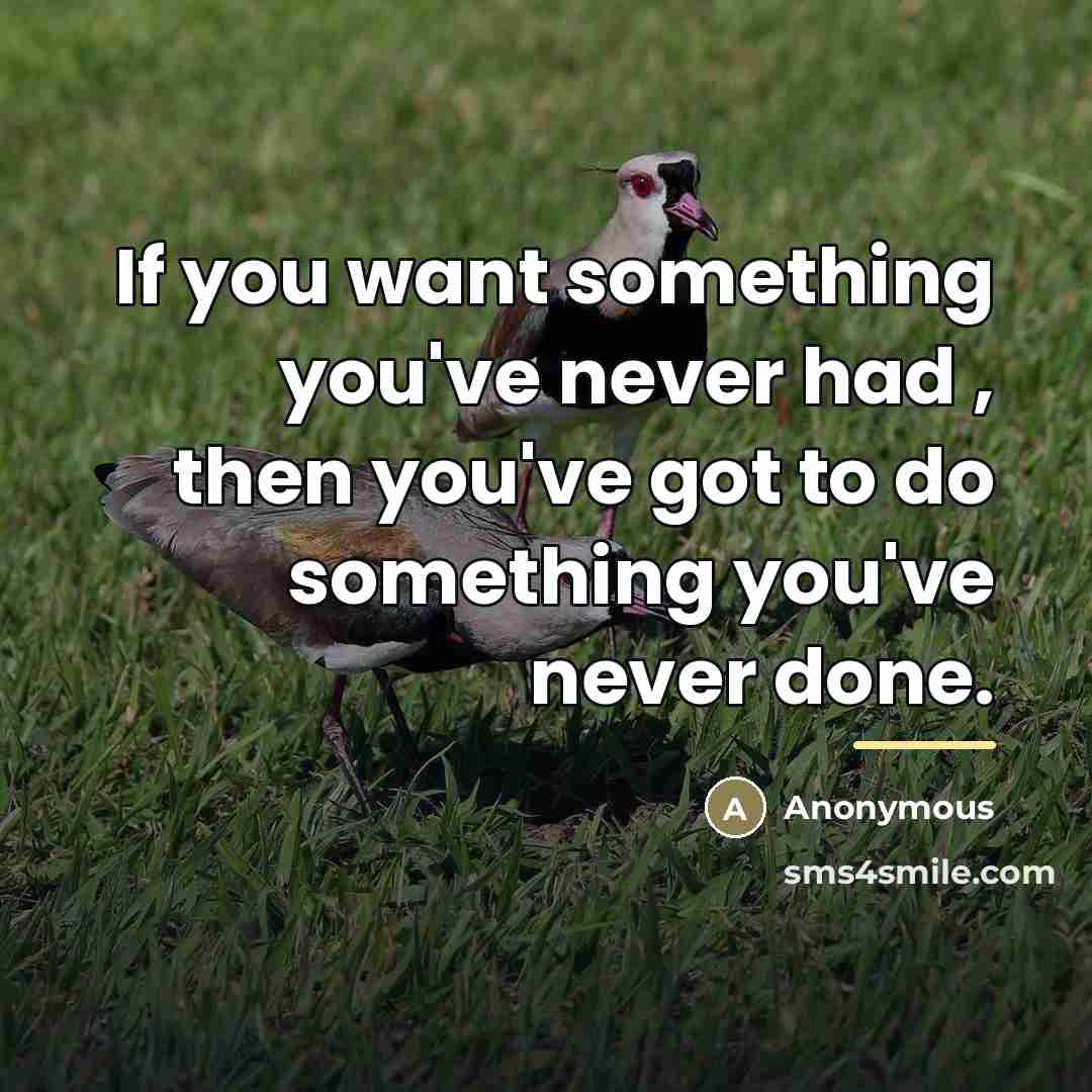“If you want something you've never had , then you've…” quote by Anonymous