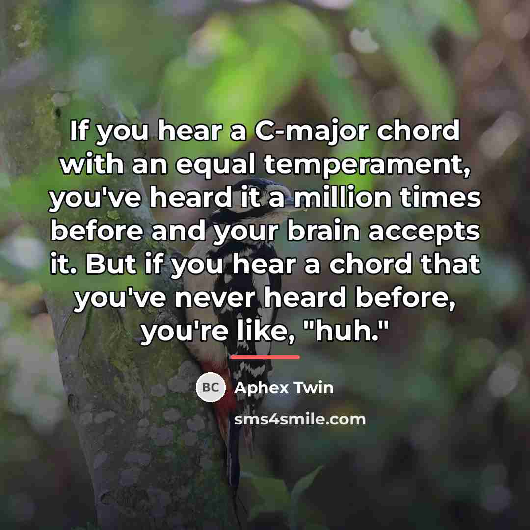 “If you hear a C-major chord with an equal temperament,…” quote by Aphex Twin