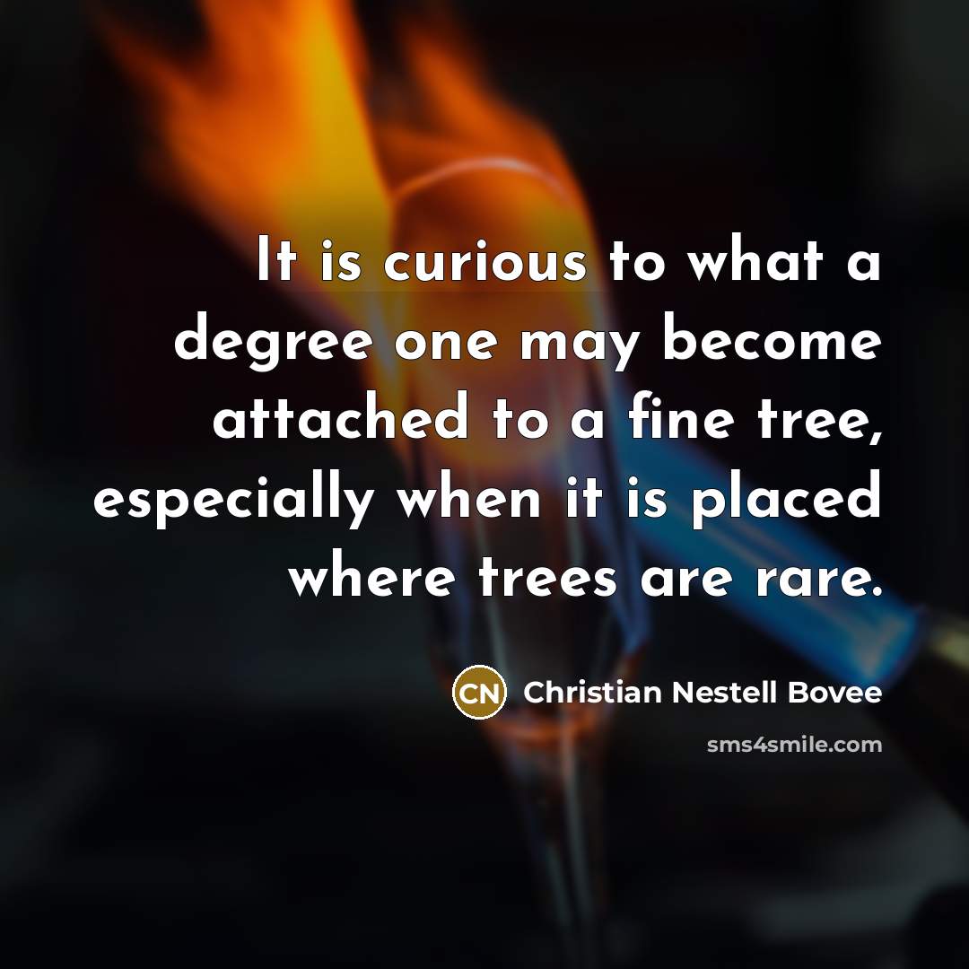 “It is curious to what a degree one may become…” quote by Christian Nestell Bovee