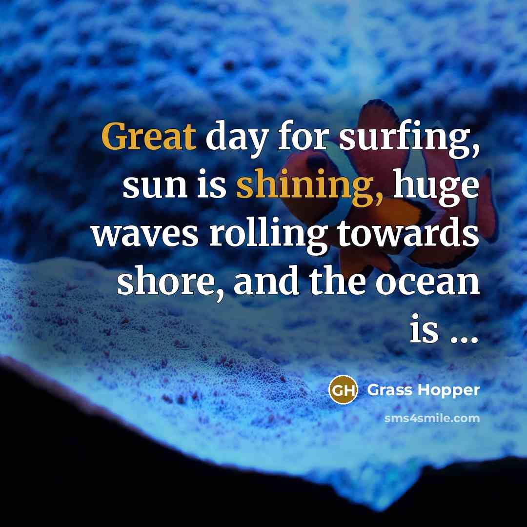 “Great day for surfing, sun is shining, huge waves rolling towards shore, and the ocean is …” quote by Grass Hopper