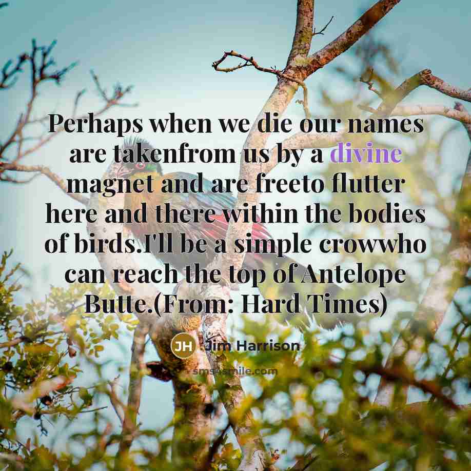 “Perhaps when we die our names are takenfrom us by…” quote by Jim Harrison