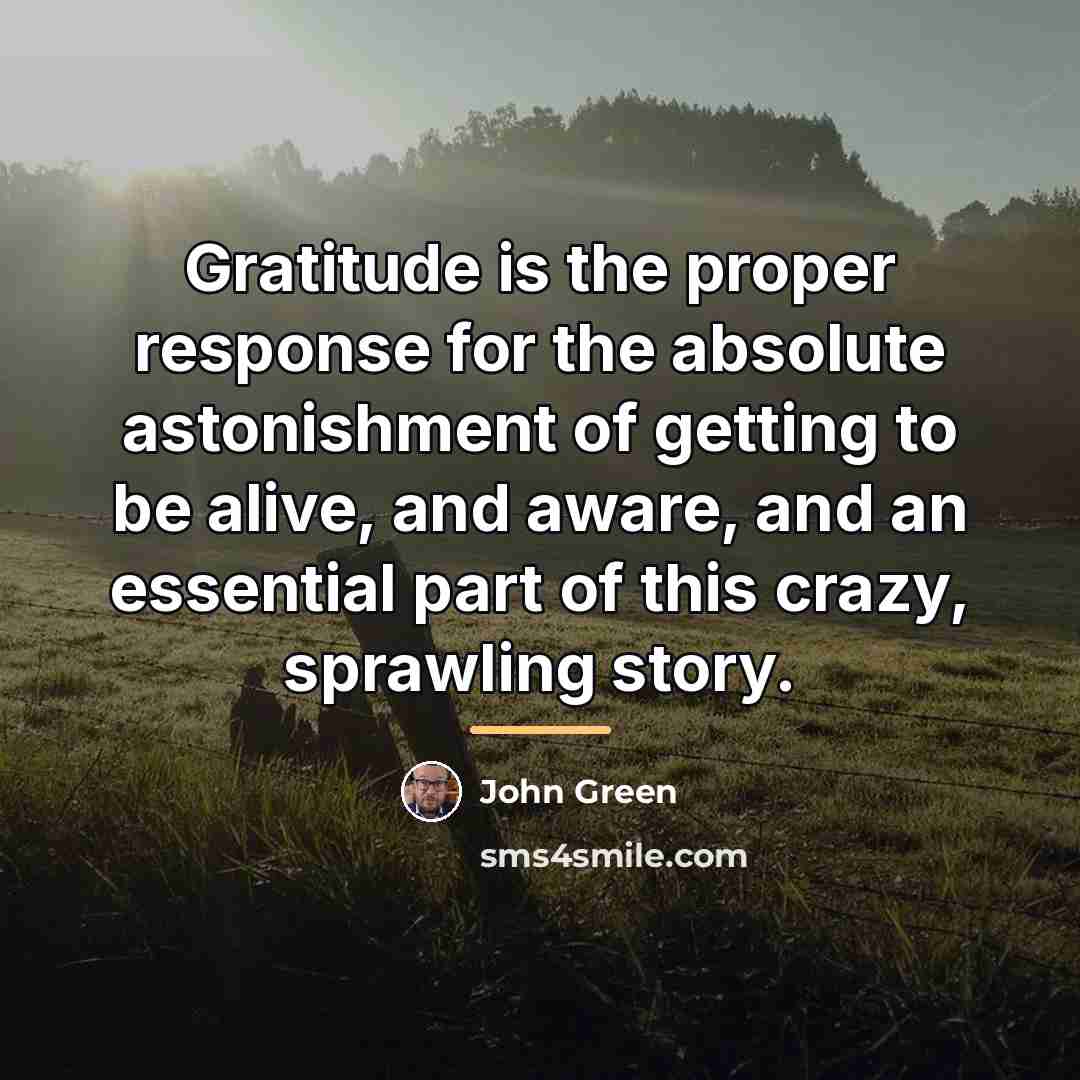 “Gratitude is the proper response for the absolute astonishment of…” quote by John Green