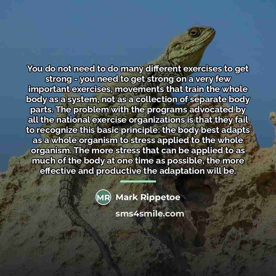 “You do not need to do many different exercises to…” quote by Mark Rippetoe