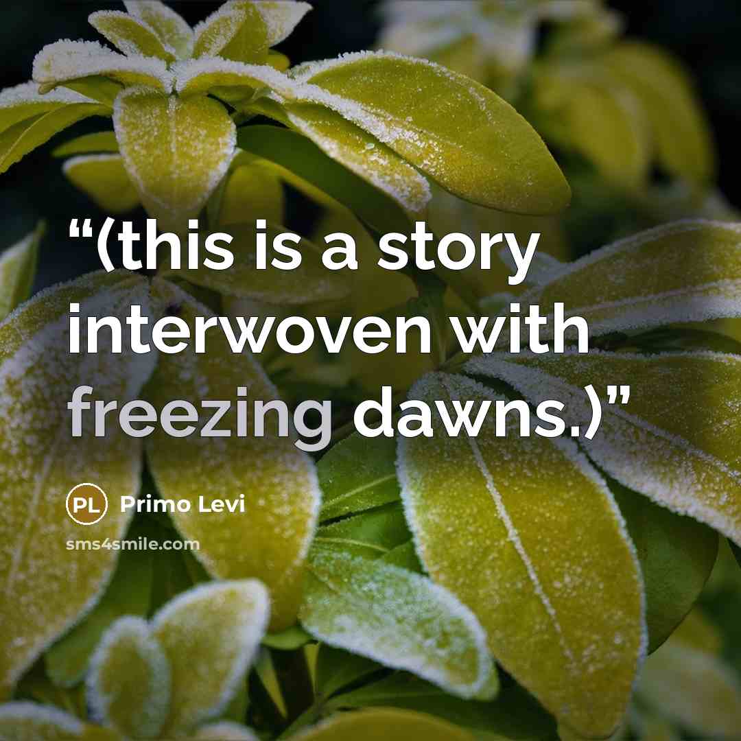 “(this is a story interwoven with freezing dawns.)” quote by Primo Levi
