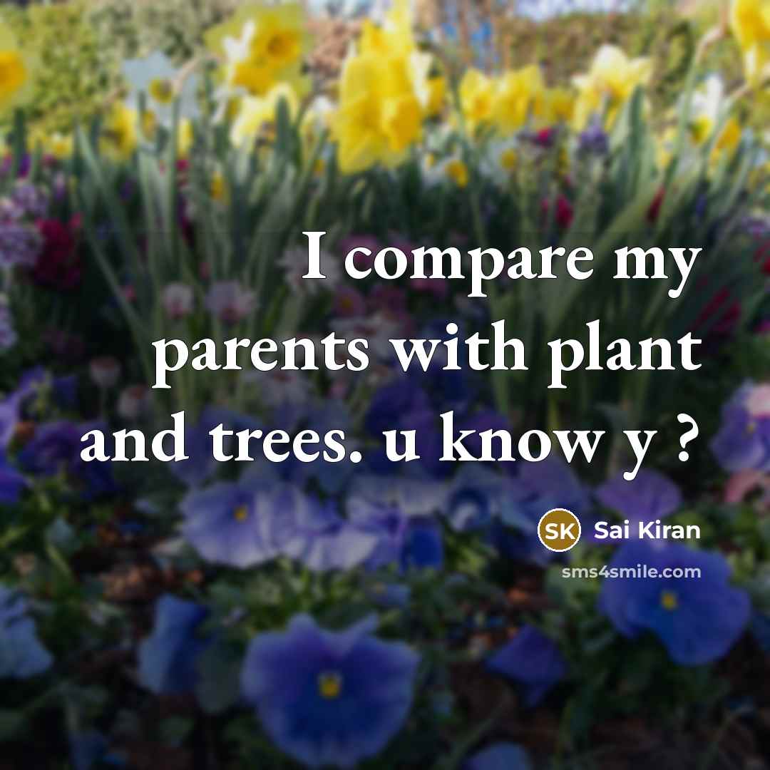 “I compare my parents with plant and trees. u know…” quote by Sai Kiran