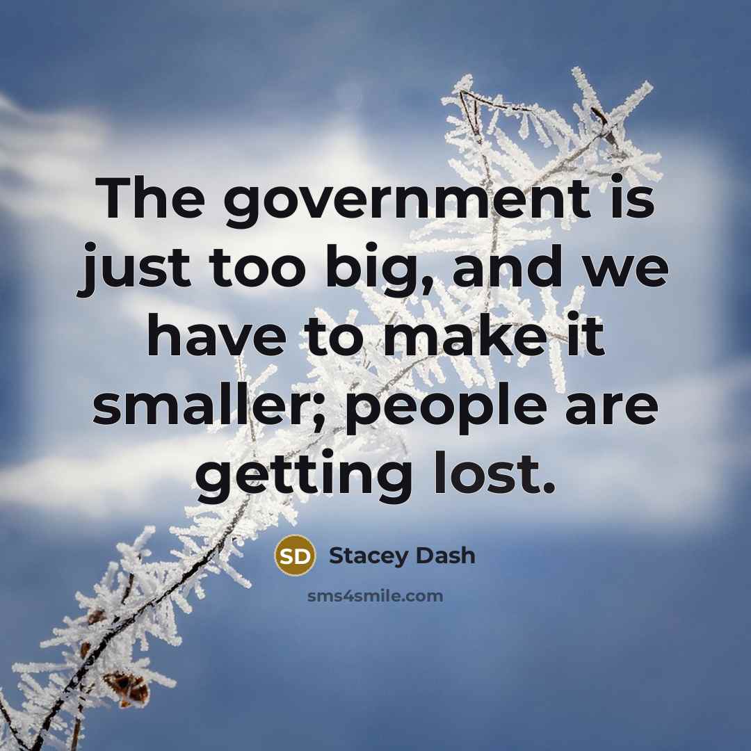 “The government is just too big, and we have to…” quote by Stacey Dash