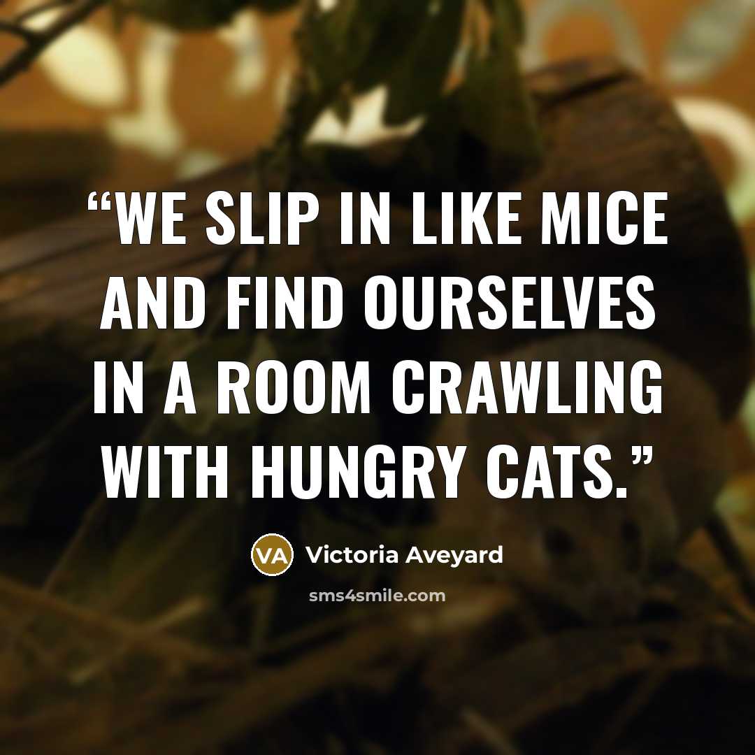 “We slip in like mice and find ourselves in a room crawling with hungry cats.” quote by Victoria Aveyard