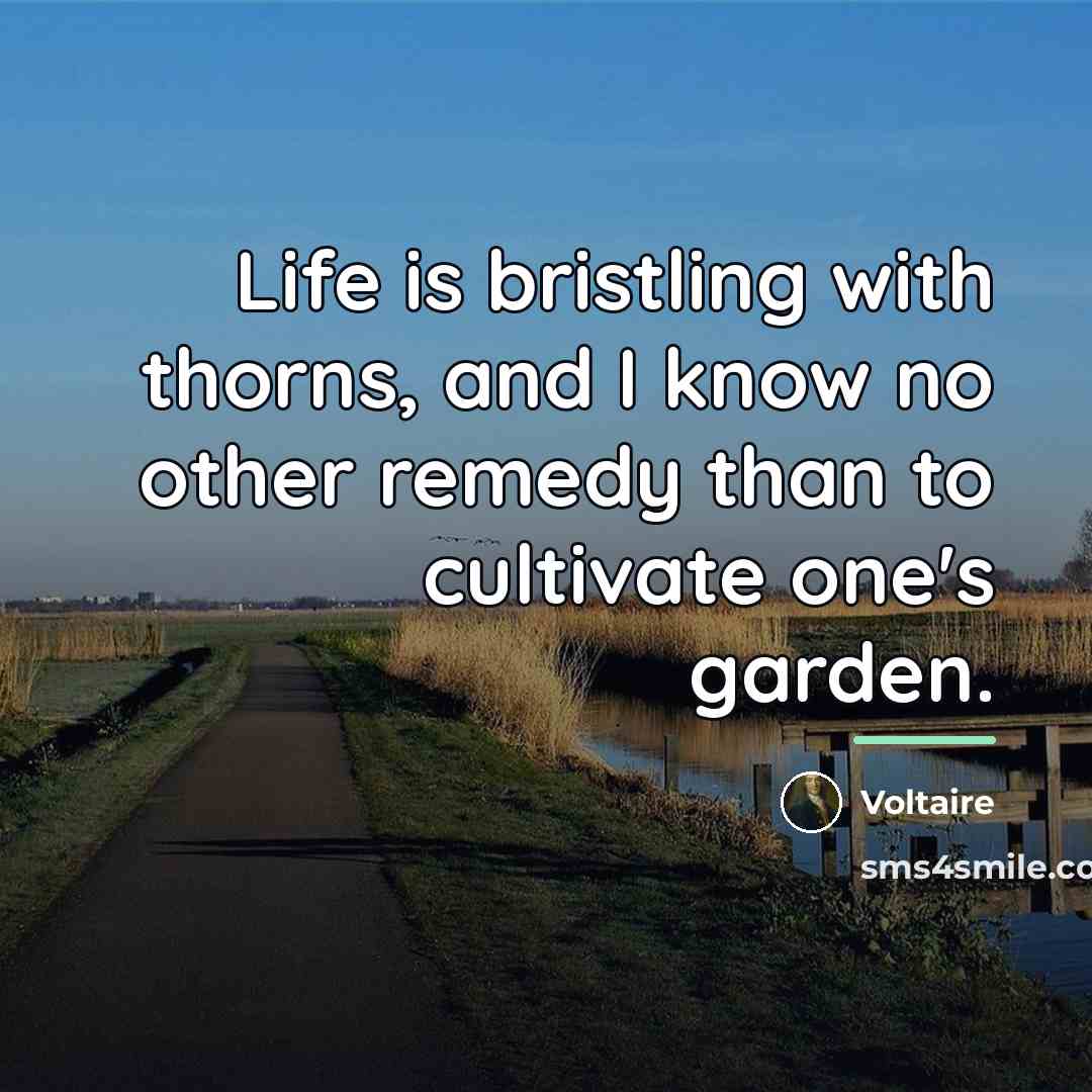 “Life is bristling with thorns, and I know no other…” quote by Voltaire