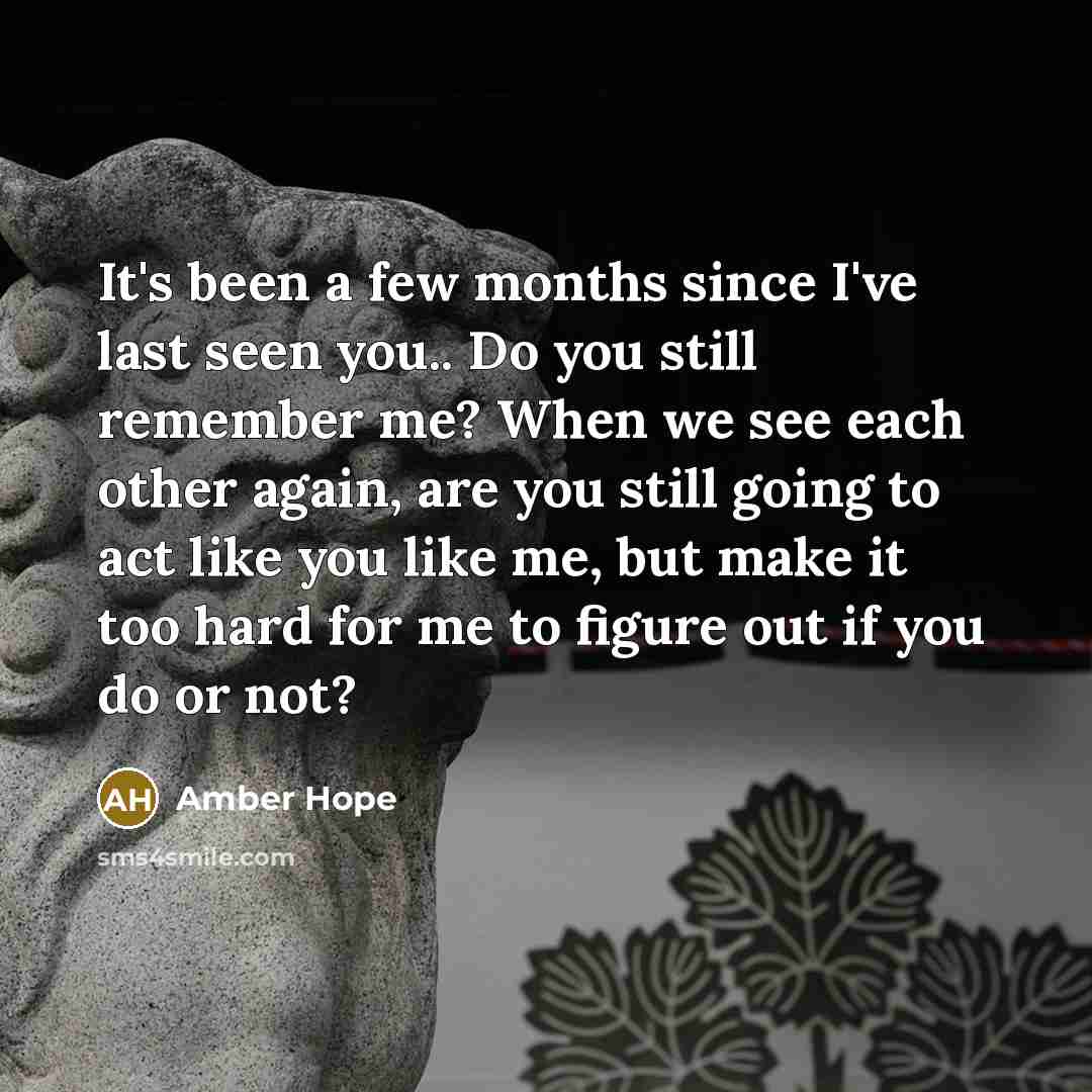 “It's been a few months since I've last seen you..…” quote by Amber Hope