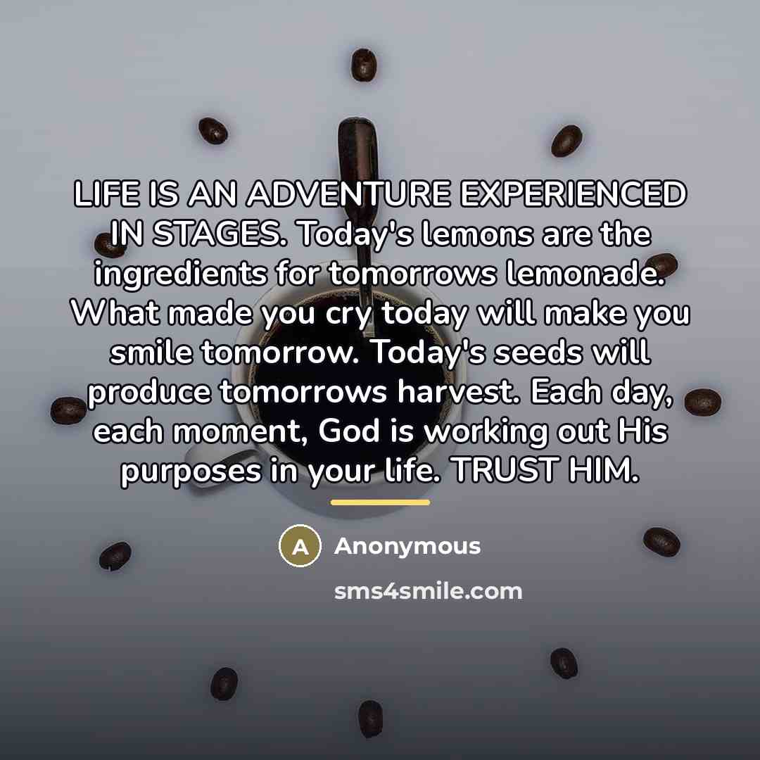 “LIFE IS AN ADVENTURE EXPERIENCED IN STAGES. Today's lemons are…” quote by Anonymous