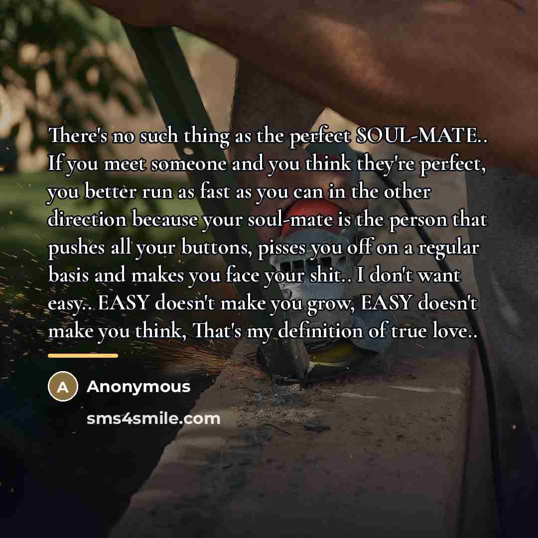 “There's no such thing as the perfect SOUL-MATE.. If you…” quote by Anonymous