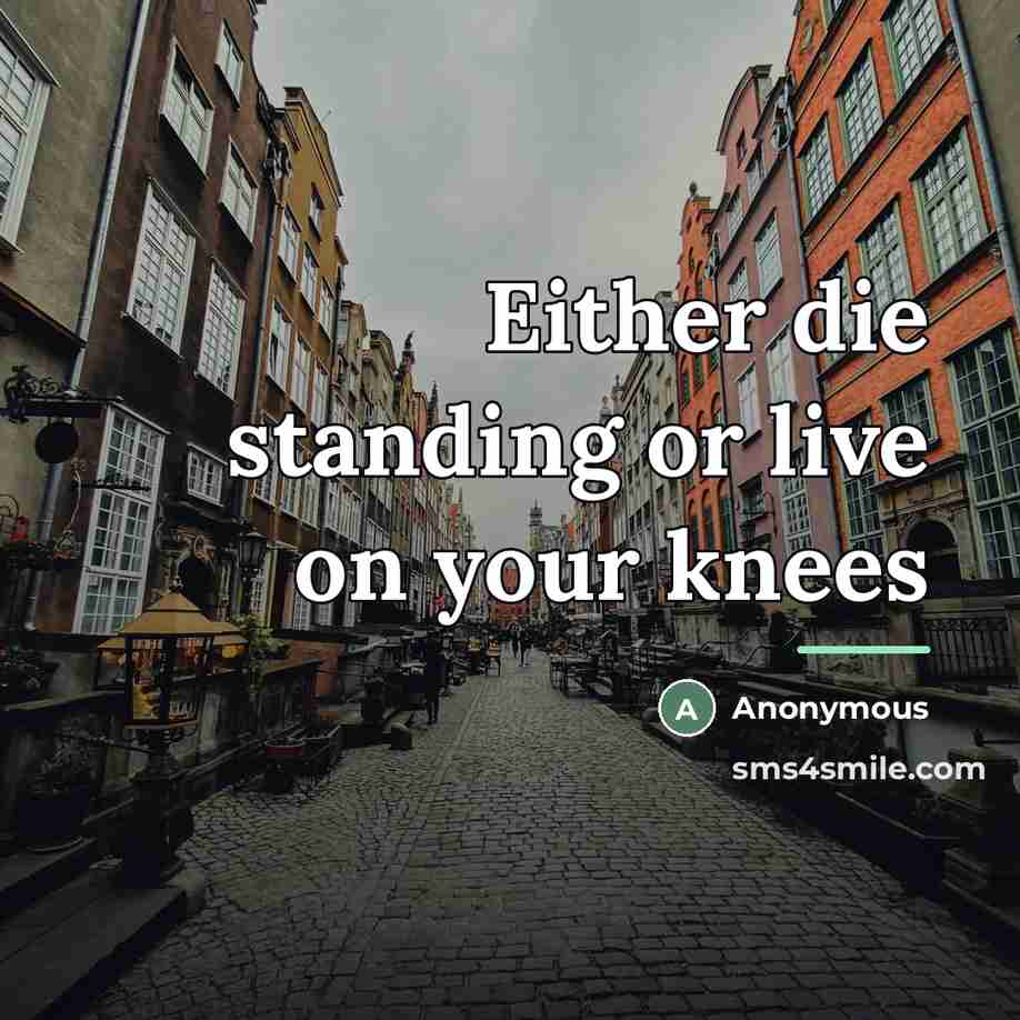 “Either die standing or live on your knees…” quote by Anonymous