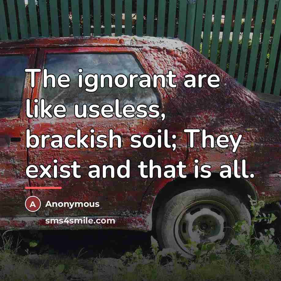 “The ignorant are like useless, brackish soil; They exist and…” quote by Anonymous