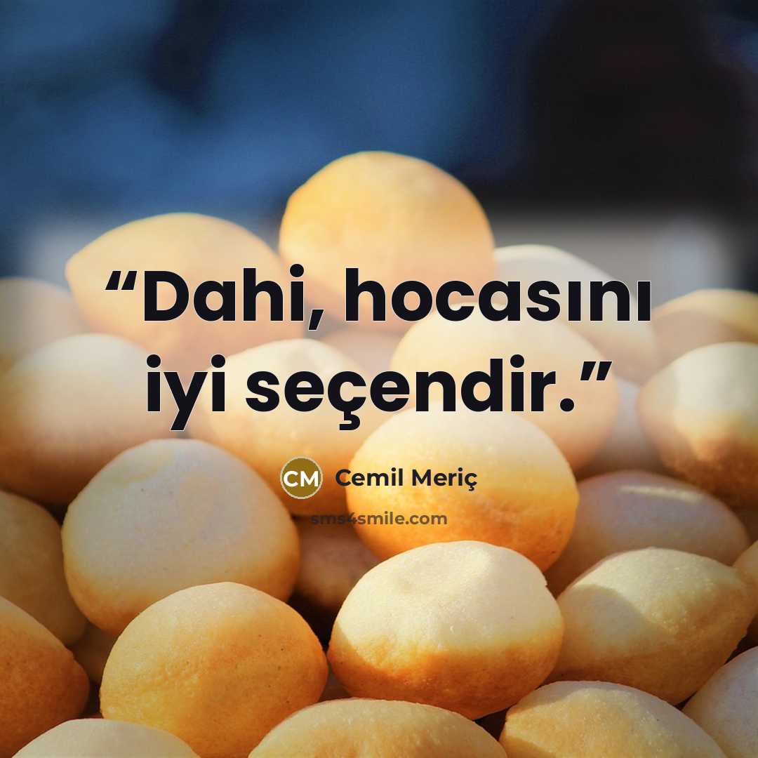 “Dahi, hocasını iyi seçendir.” quote by cemil meriç