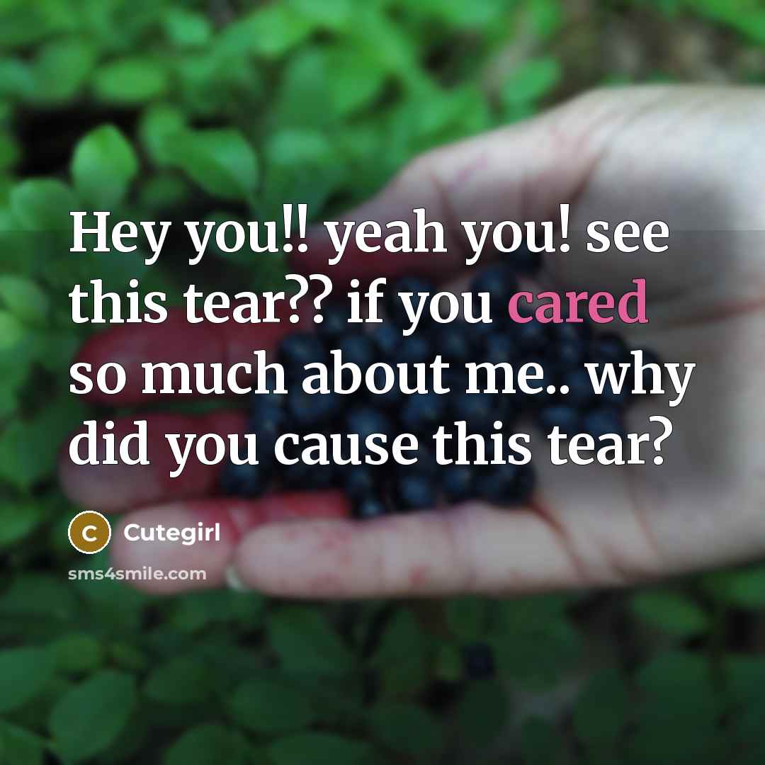 “Hey you!! yeah you! see this tear?? if you cared so much about me.. why did you cause this tear?” quote by Cutegirl