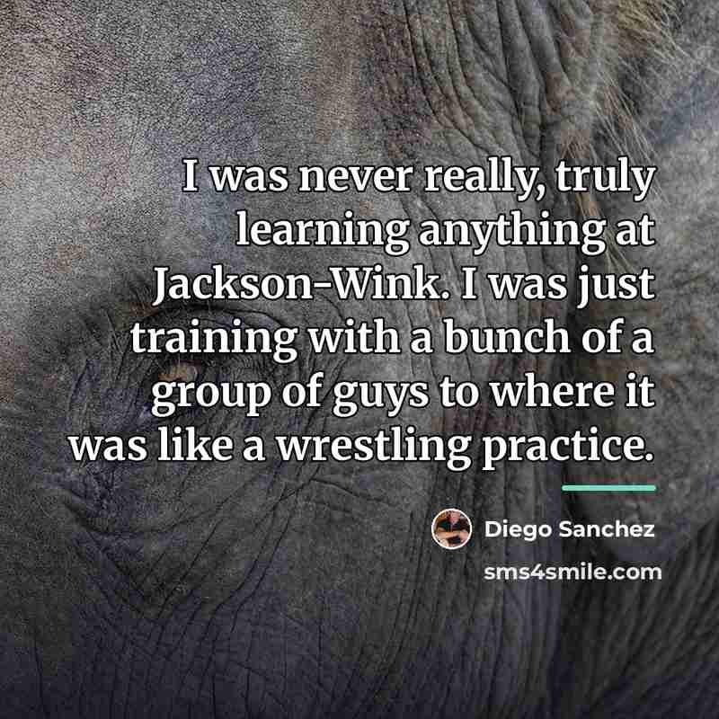 “I was never really, truly learning anything at Jackson-Wink. I…” quote by Diego Sanchez