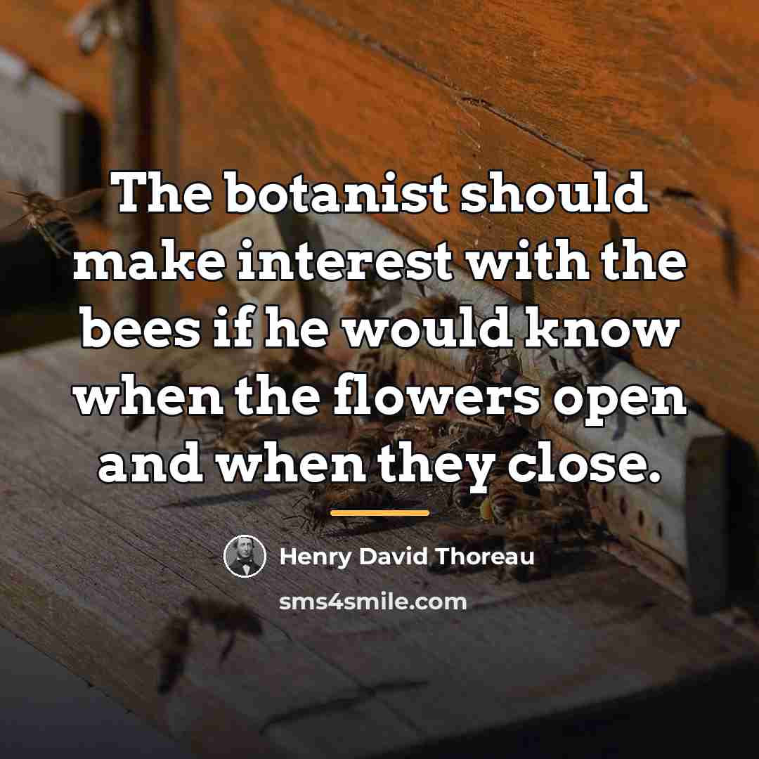 “The botanist should make interest with the bees if he…” quote by Henry David Thoreau