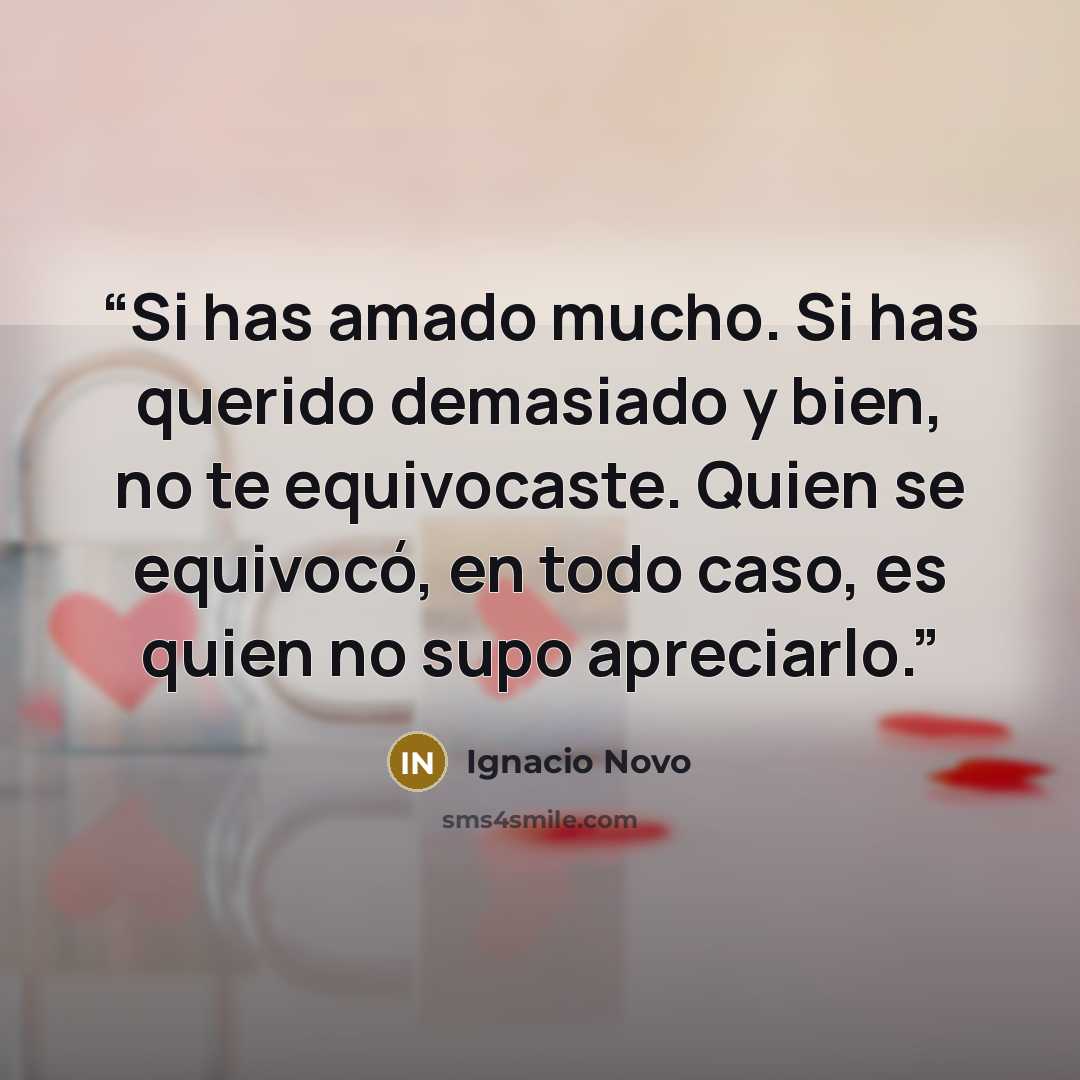 “Si has amado mucho. Si has querido demasiado y bien, no te equivocaste. Quien se equivocó, en todo caso, es quien no supo apreciarlo.” quote by Ignacio Novo