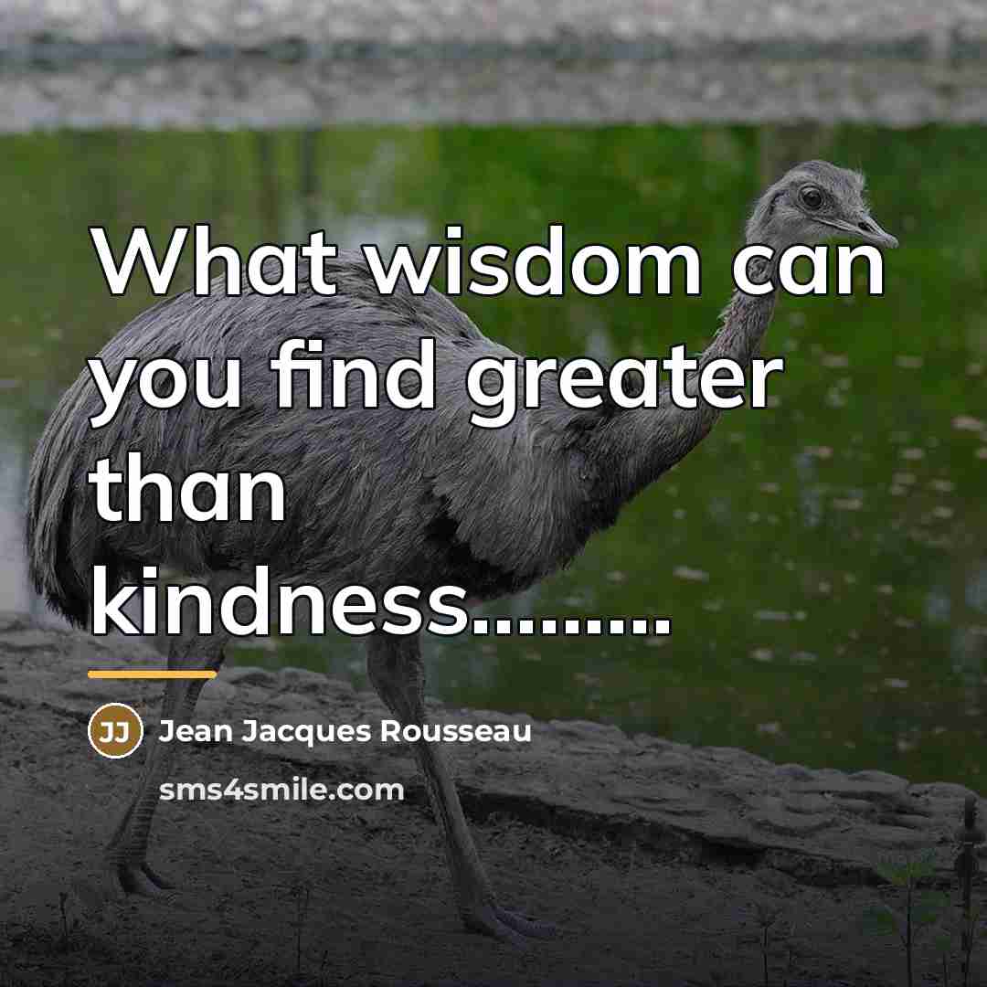 “What wisdom can you find greater than kindness.........…” quote by Jean Jacques Rousseau