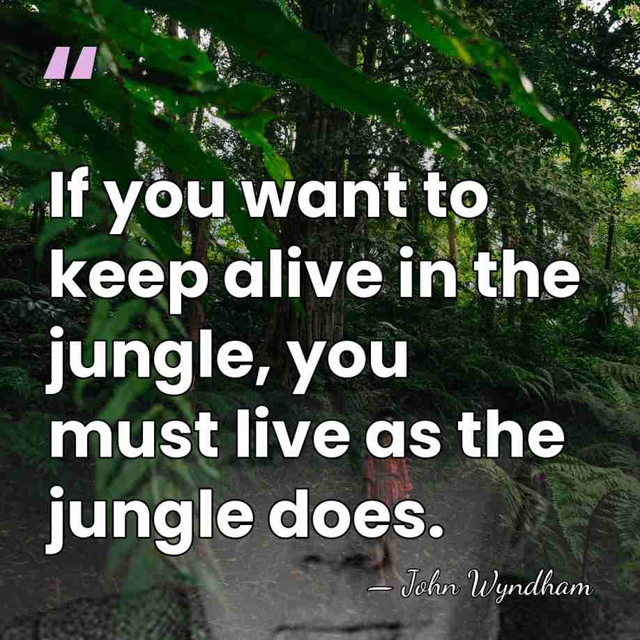 If you want to keep alive in the jungle, you must live&hellip; - John Wyndham
