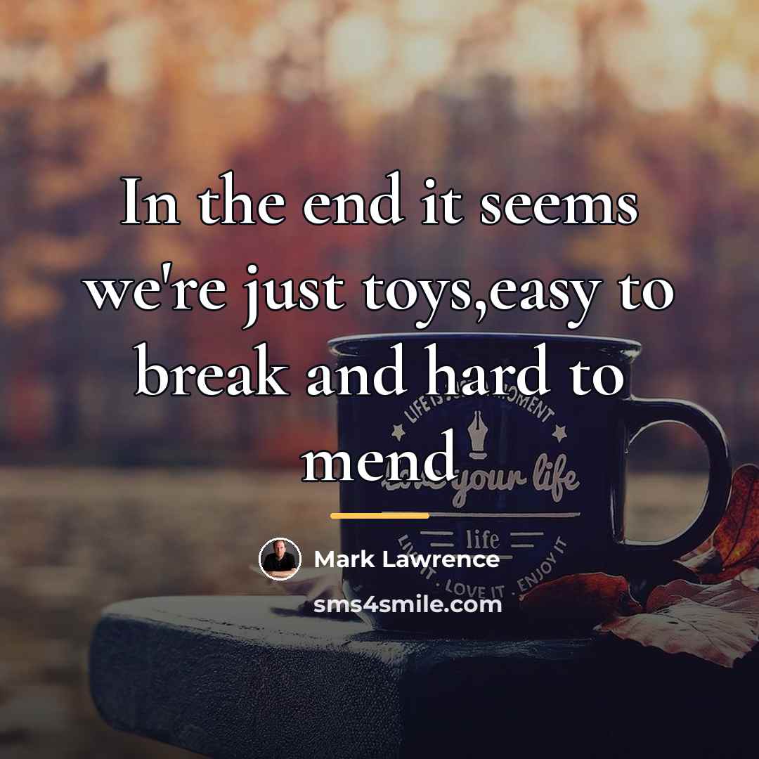“In the end it seems we're just toys,easy to break…” quote by Mark Lawrence