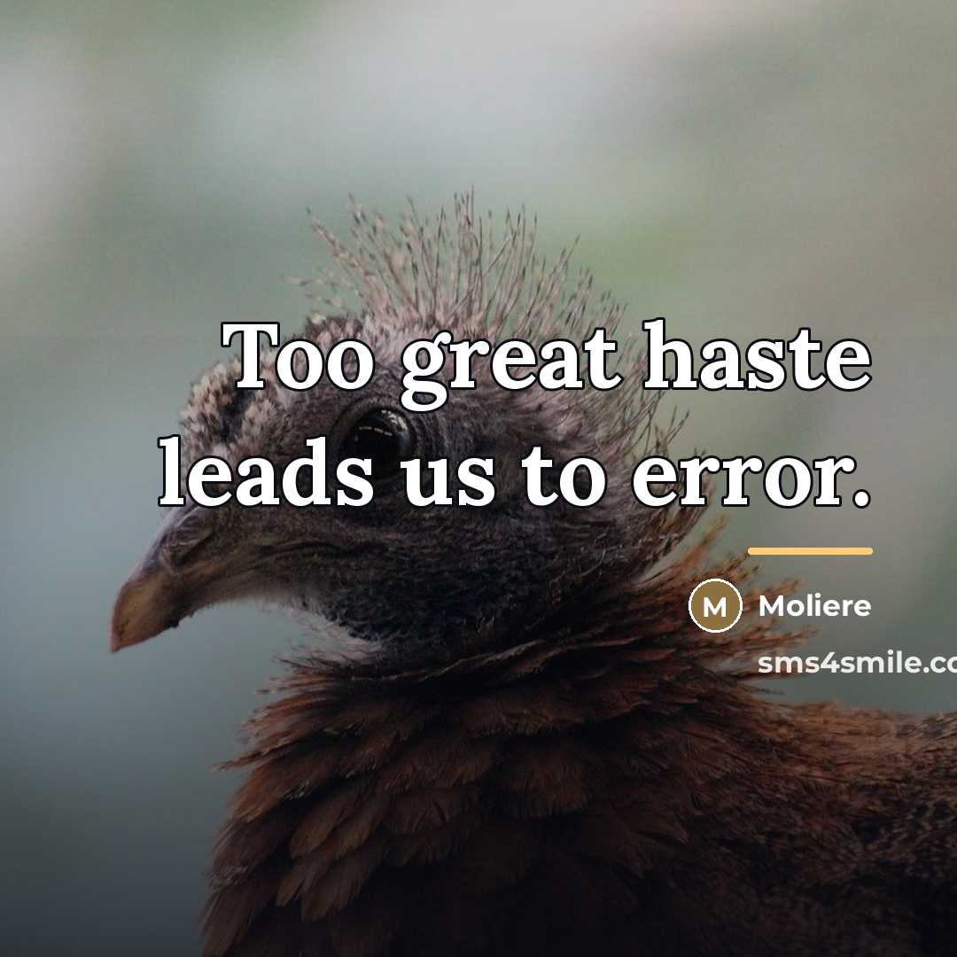 “Too great haste leads us to error.…” quote by Moliere