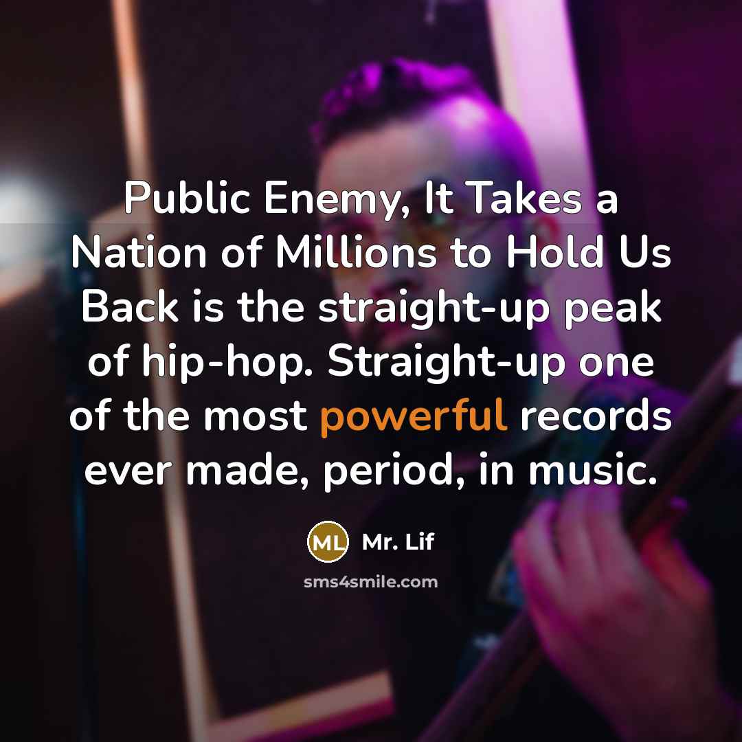 “Public Enemy, It Takes a Nation of Millions to Hold…” quote by Mr. Lif