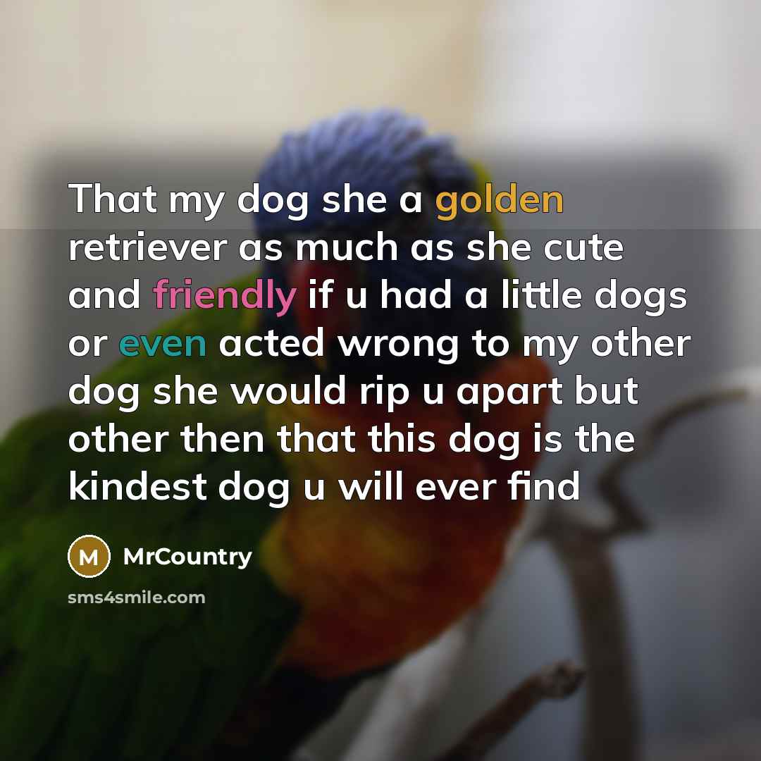 “That my dog she a golden retriever as much as she cute and friendly if u had a little dogs or even acted wrong to my other dog she would rip u apart but other then that this dog is the kindest dog u will ever find” quote by MrCountry