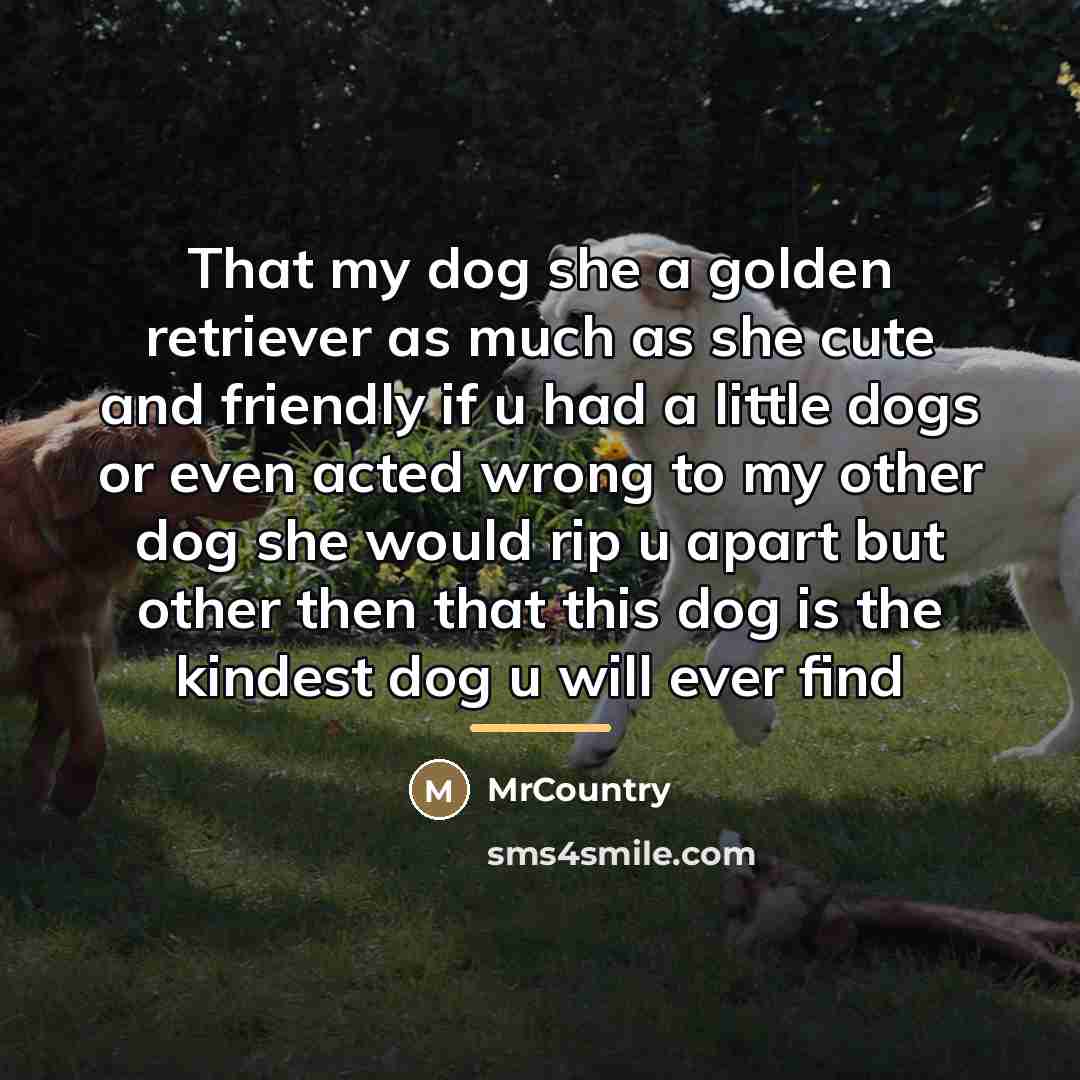“That my dog she a golden retriever as much as…” quote by MrCountry