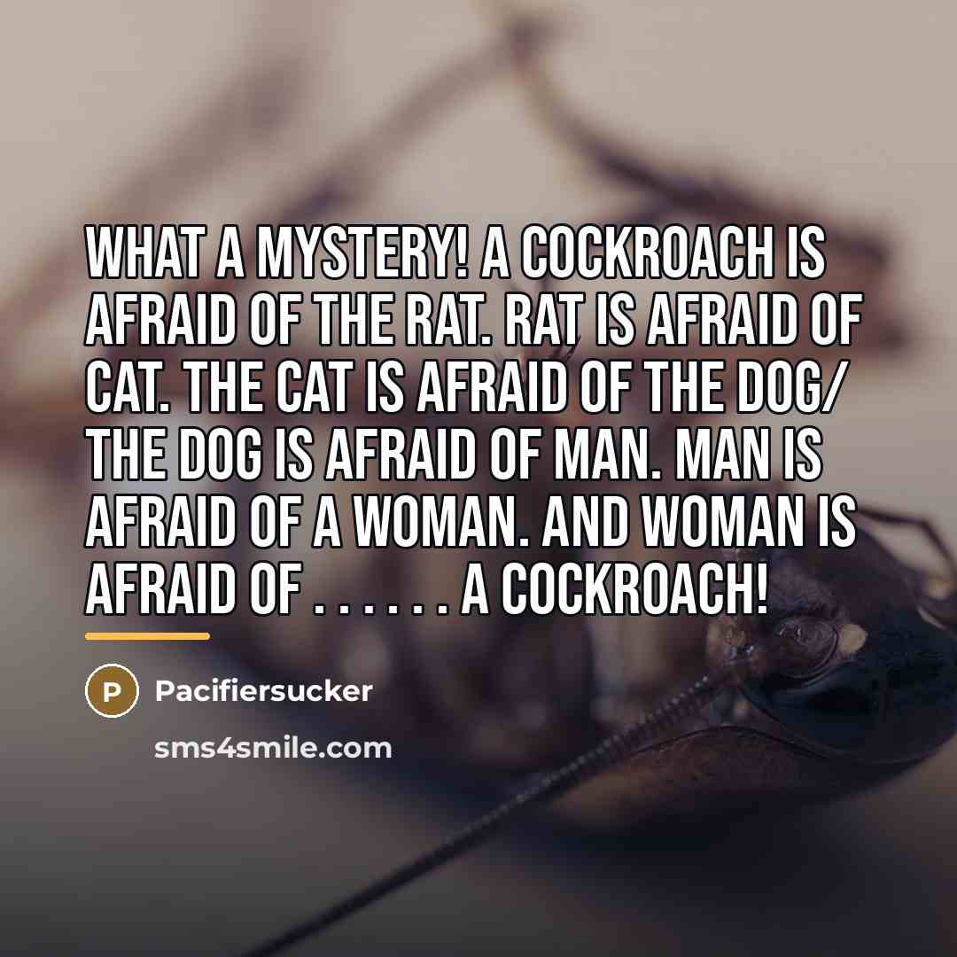 “What A Mystery! A cockroach is afraid of the Rat.…” quote by Pacifiersucker