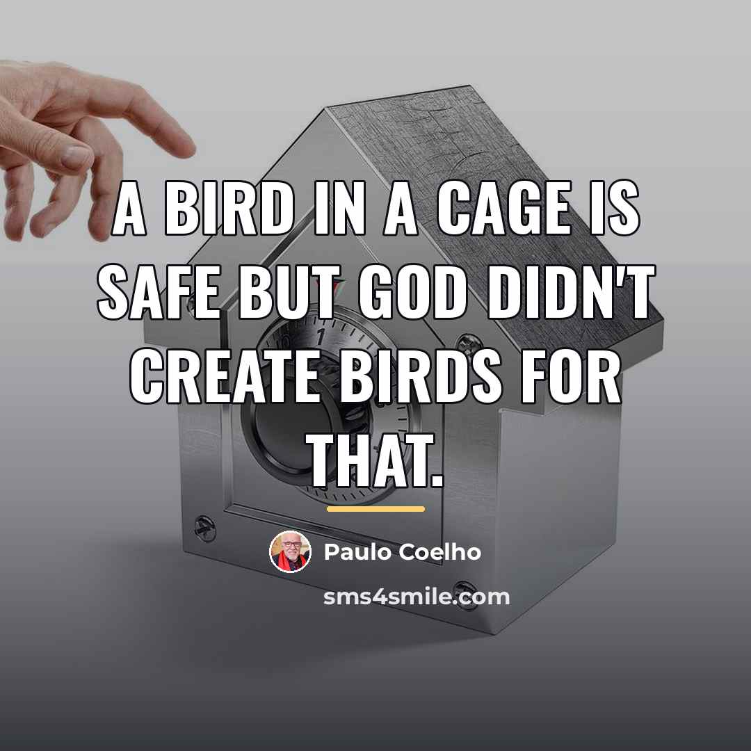 “A bird in a cage is safe but God didn't…” quote by Paulo Coelho