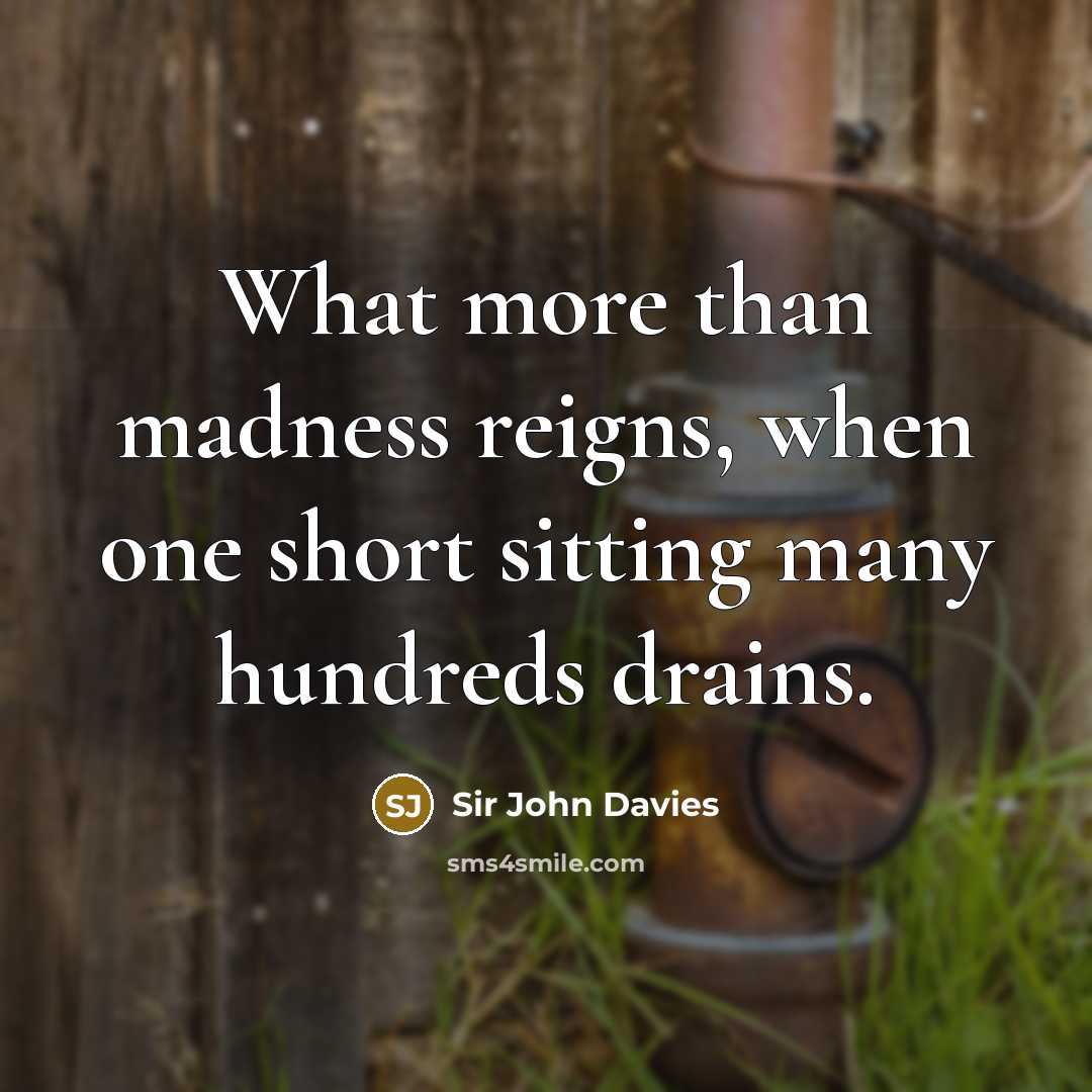“What more than madness reigns, when one short sitting many…” quote by Sir John Davies