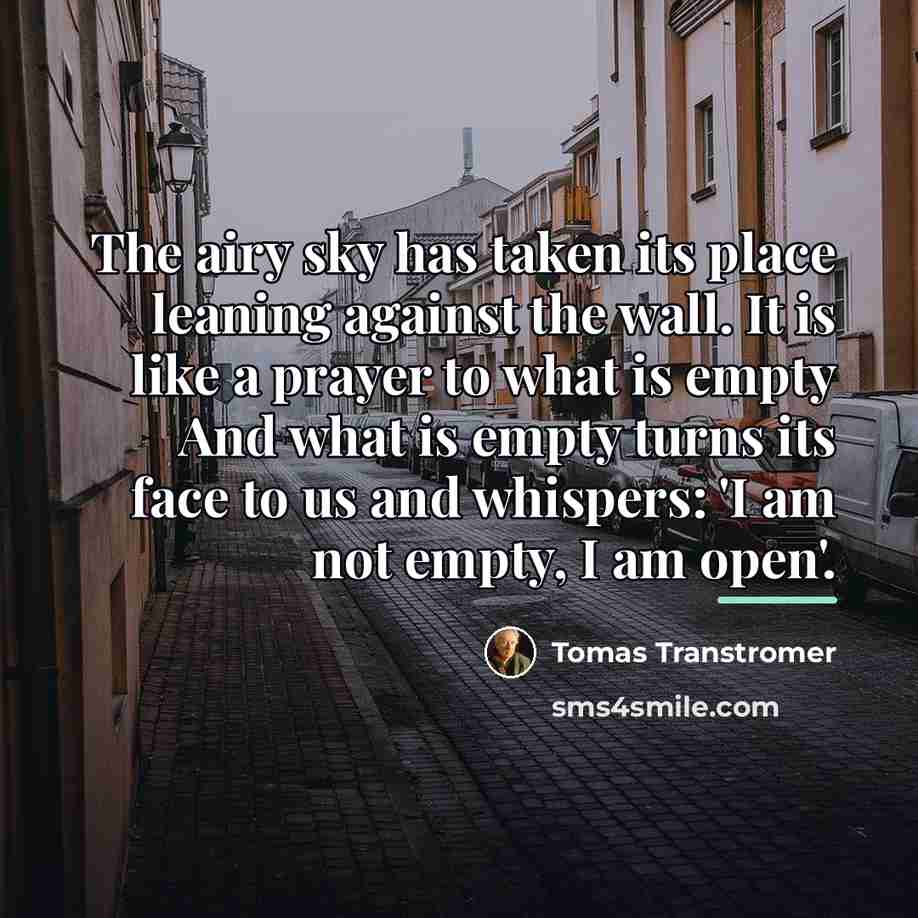 “The airy sky has taken its place leaning against the…” quote by Tomas Transtromer