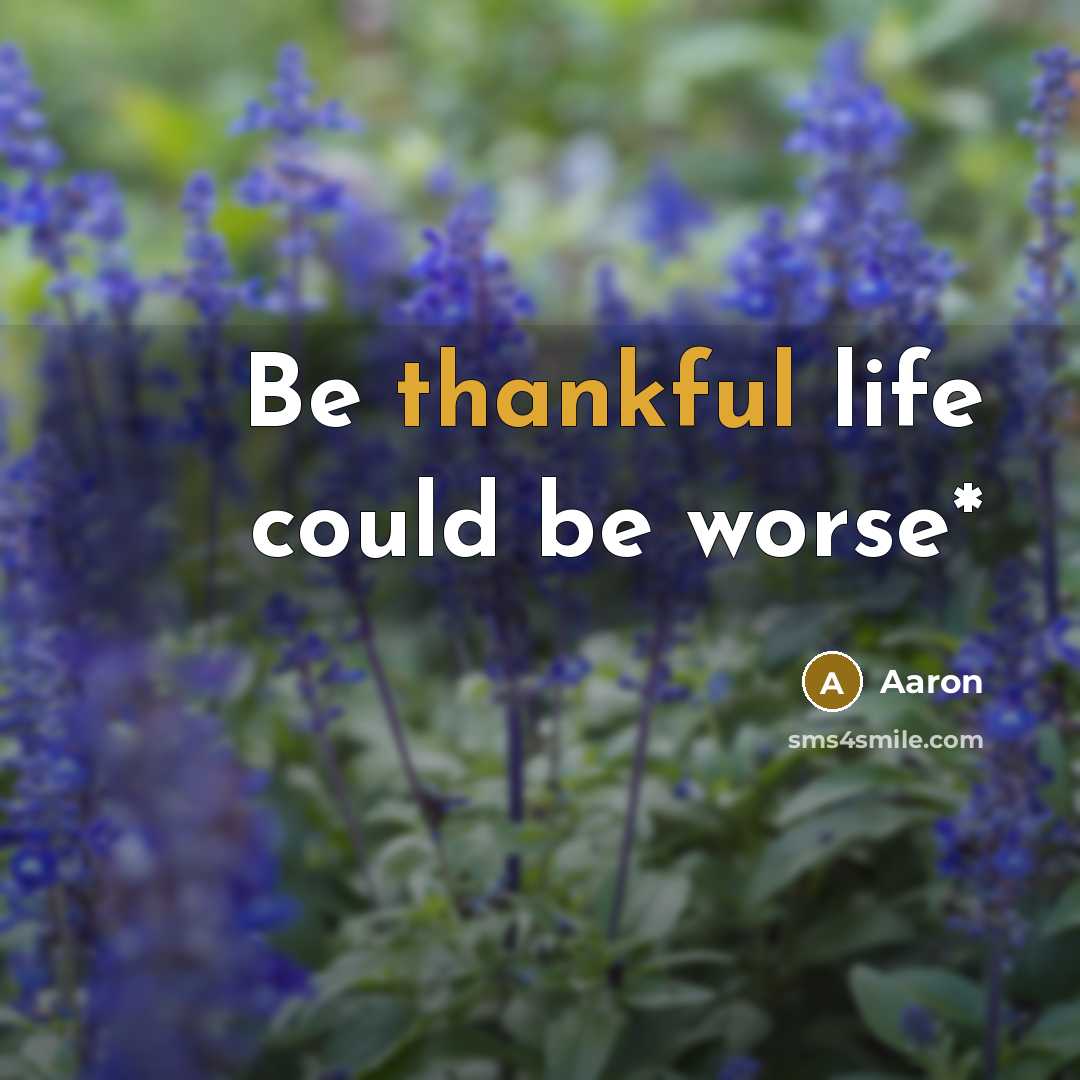 “Be thankful life could be worse*…” quote by Aaron