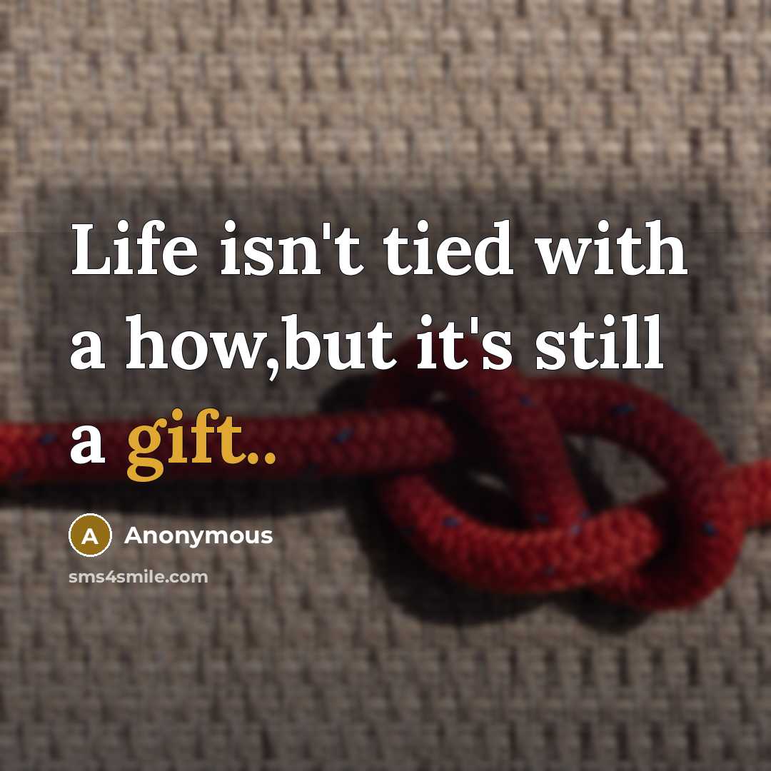 “Life isn't tied with a how,but it's still a gift..…” quote by Anonymous