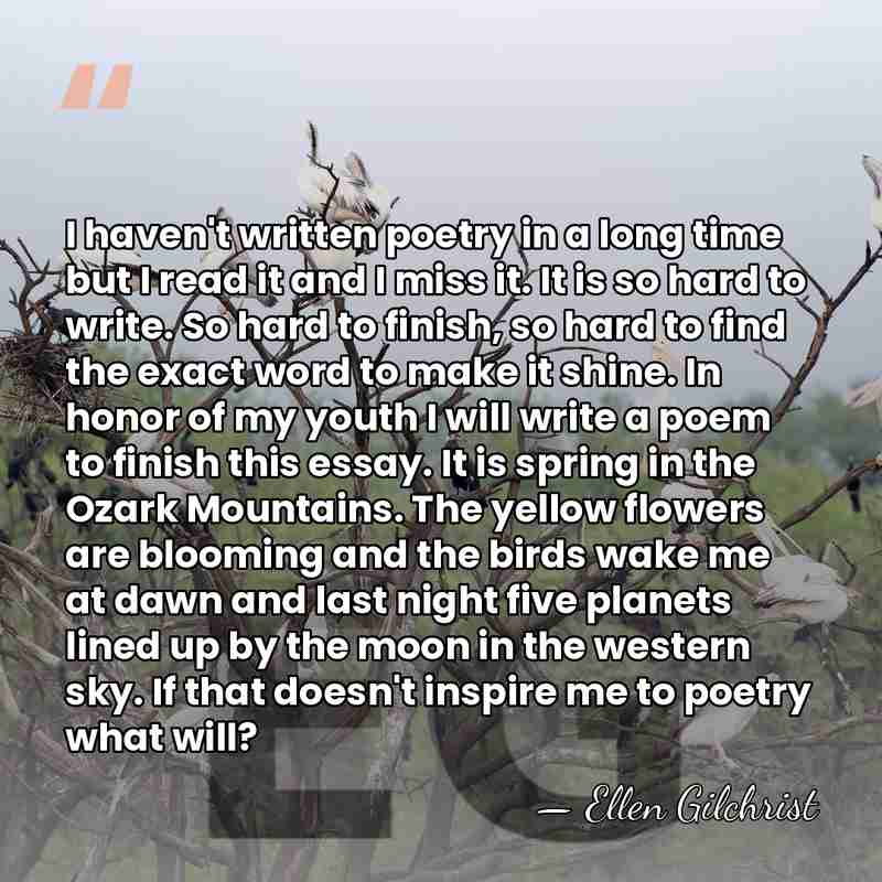 I haven't written poetry in a long time but I read it&hellip; - Ellen Gilchrist
