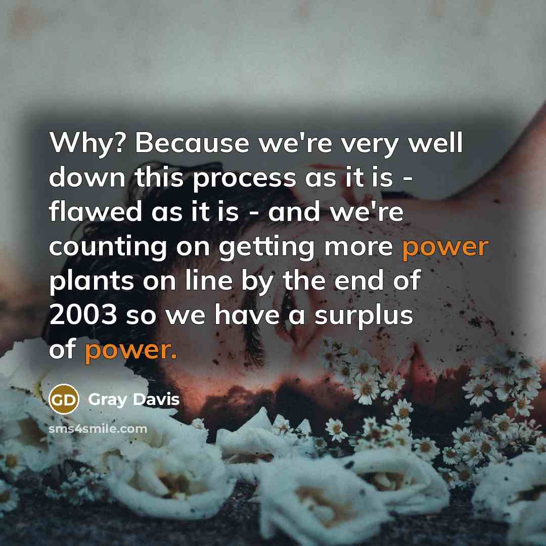 “Why? Because we're very well down this process as it is - flawed as it is - and we're counting on getting more power plants on line by the end of 2003 so we have a surplus of power.” quote by Gray Davis