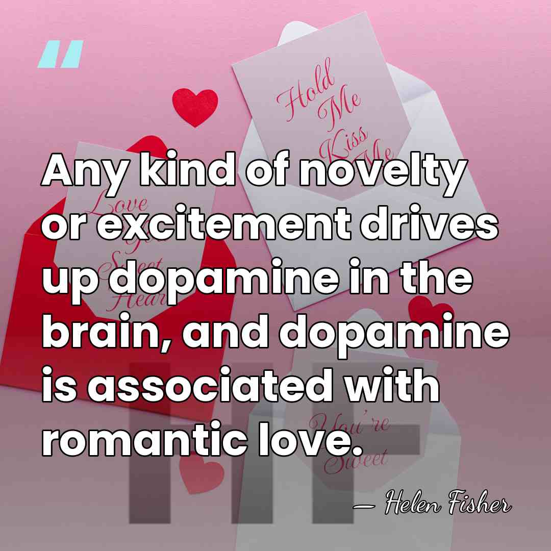 Any kind of novelty or excitement drives up dopamine in the brain,&hellip; - Helen Fisher
