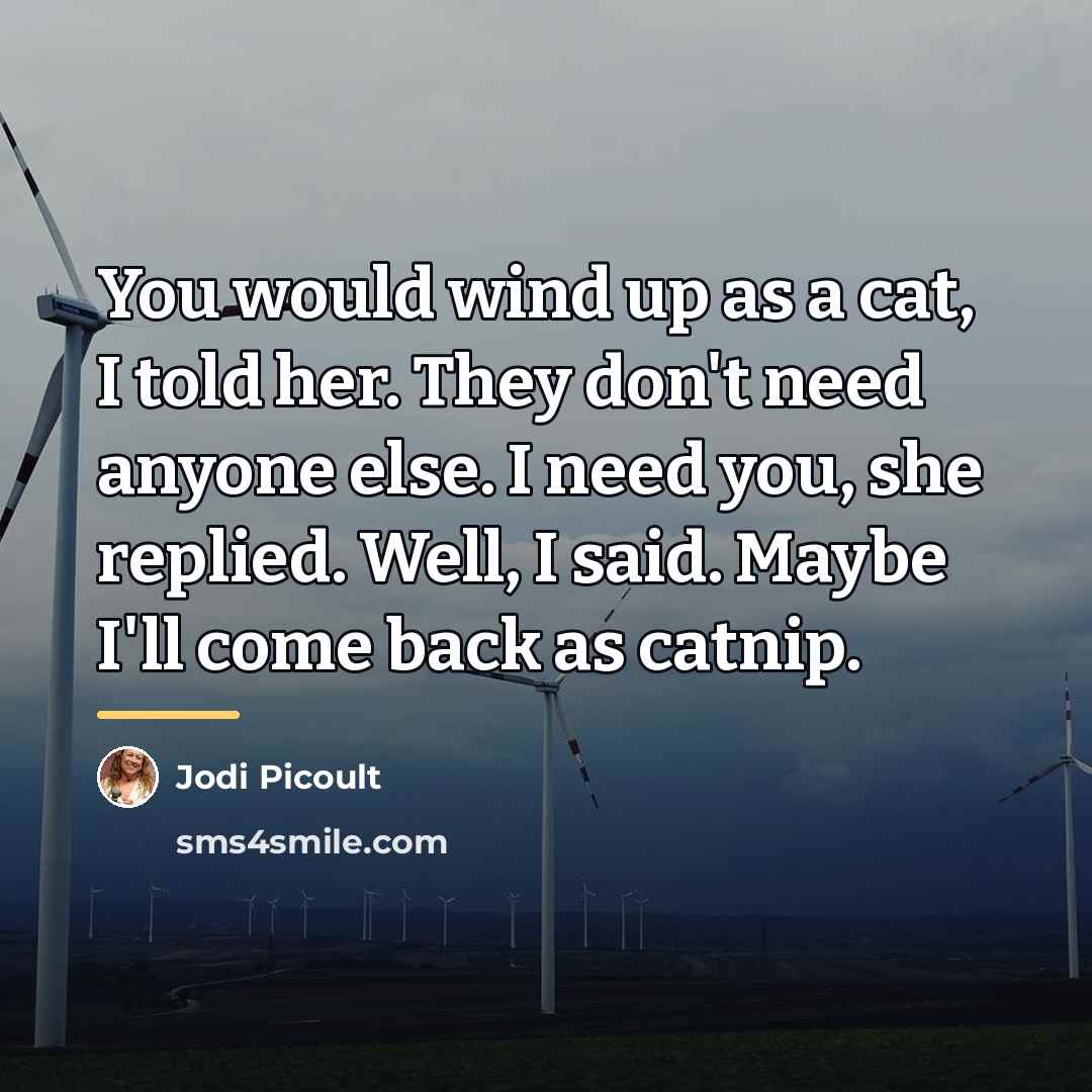 “You would wind up as a cat, I told her.…” quote by Jodi Picoult