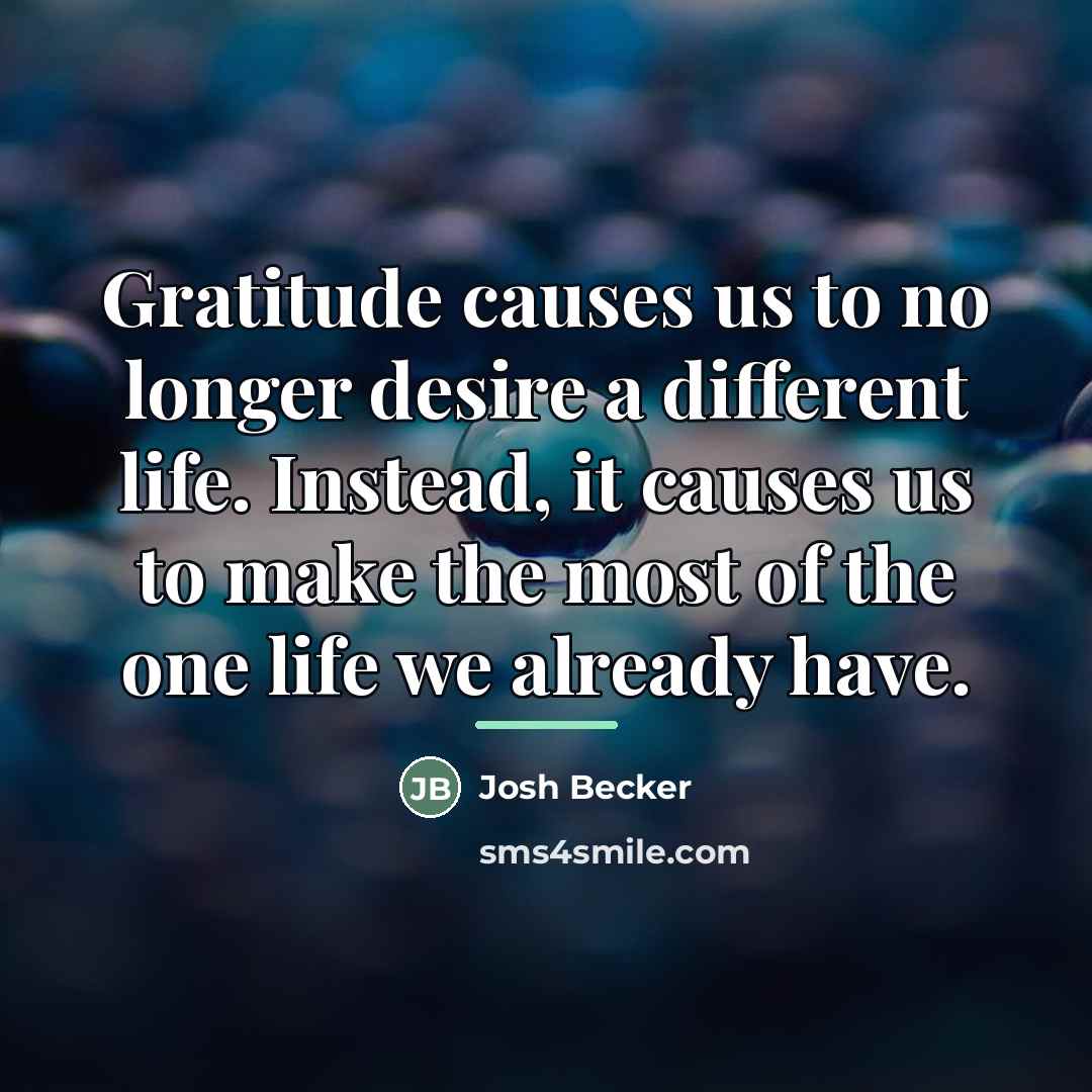 “Gratitude causes us to no longer desire a different life.…” quote by Josh Becker