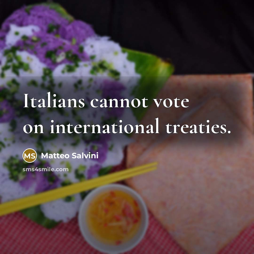 “Italians cannot vote on international treaties.…” quote by Matteo Salvini