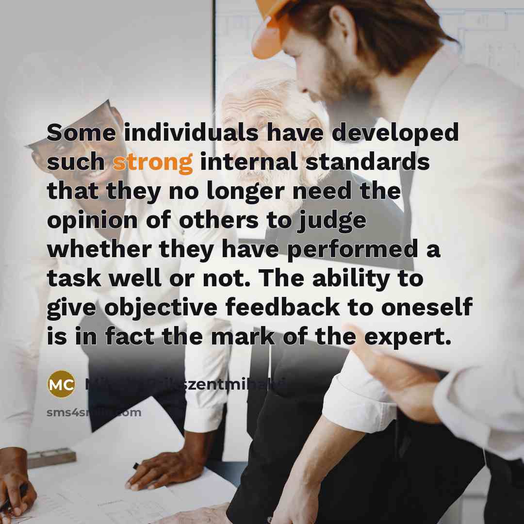 “Some individuals have developed such strong internal standards that they…” quote by Mihaly Csikszentmihalyi