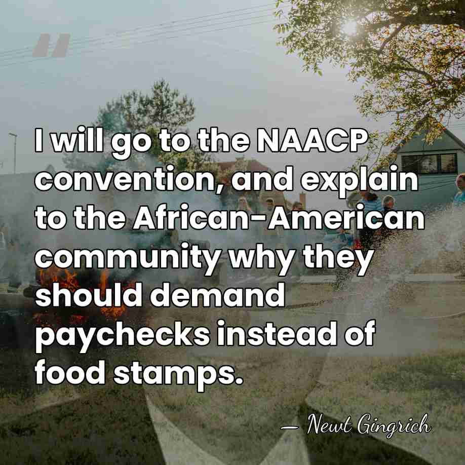 I will go to the NAACP convention, and explain to the African-American&hellip; - Newt Gingrich