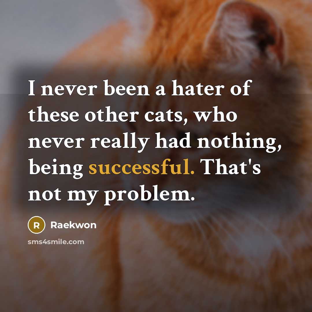 “I never been a hater of these other cats, who…” quote by Raekwon